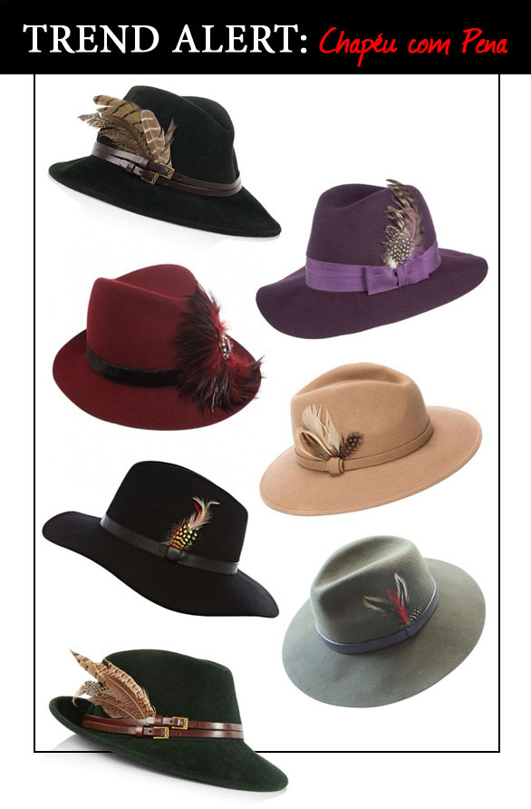 qual o significado da pena no chapéu